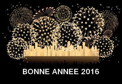 Bonne année 2016!